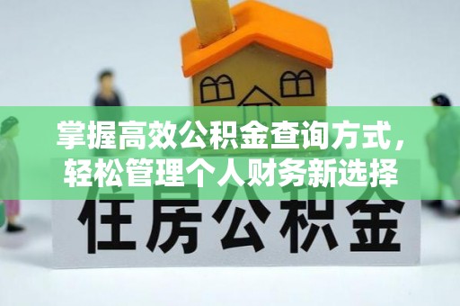 兰西掌握高效公积金查询方式，轻松管理个人财务新选择