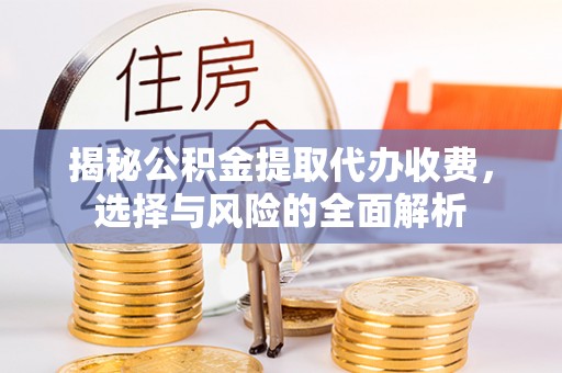 兰西揭秘公积金提取代办收费，选择与风险的全面解析