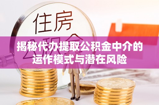 兰西揭秘代办提取公积金中介的运作模式与潜在风险