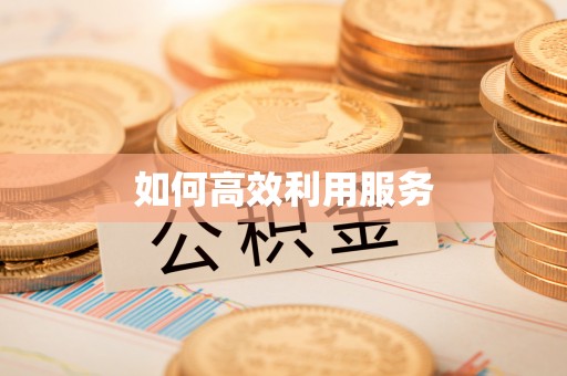 兰西如何高效利用服务