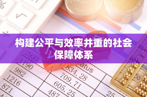 兰西构建公平与效率并重的社会保障体系