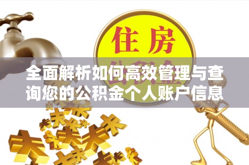 兰西全面解析如何高效管理与查询您的公积金个人账户信息