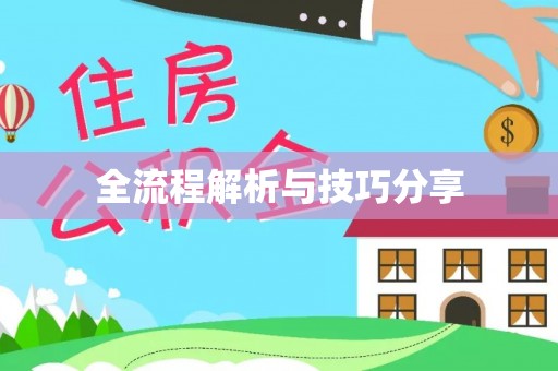 兰西全流程解析与技巧分享
