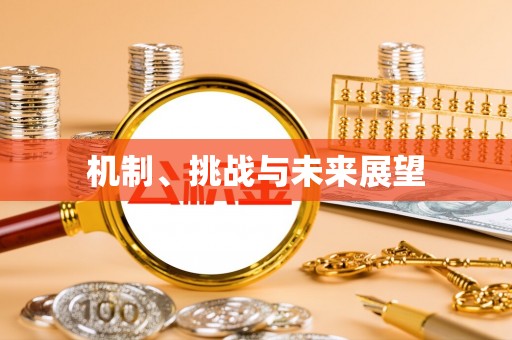 兰西机制、挑战与未来展望